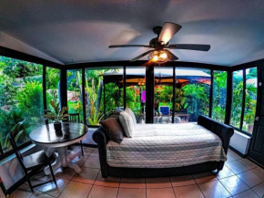 St Pete beach house backyard Jungle Oasis!